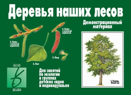Игра Деревья наших лесов в Нижнем Новгороде