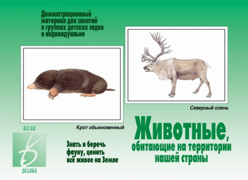 Игра Животные обитающие на территории нашей страны в Нижнем Новгороде