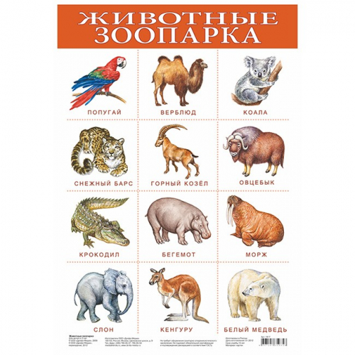 Плакат Животные зоопарка 1917. в Нижнем Новгороде