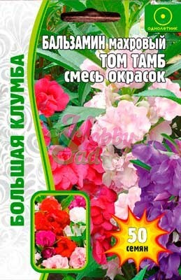 Цветы Бальзамин Том Тамб смесь махровый (50 шт) ЭКЗОТИКА