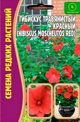 Цветы Гибискус Травянистый (болотный) Красный (5 шт) ЭКЗОТИКА