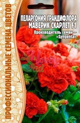Цветы Пеларгония Маверик Скарлет F1 грандифлора (3 шт) ЭКЗОТИКА