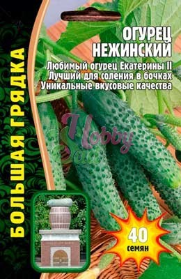 Огурец Нежинский (40 шт) ЭКЗОТИКА