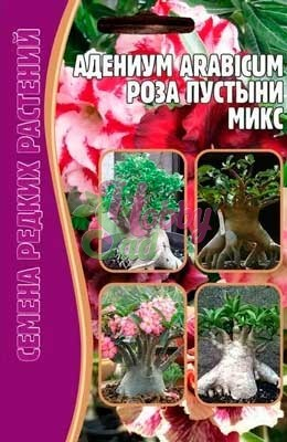 Цветы Адениум Роза Пустыни микс (arabicum) (3 шт) ЭКЗОТИКА Комнатные