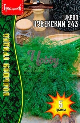 Укроп Узбекский 243 (5 гр) ЭКЗОТИКА