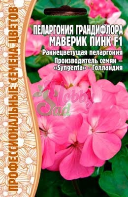 Цветы Пеларгония Маверик Пинк F1 грандифлора (3 шт) ЭКЗОТИКА