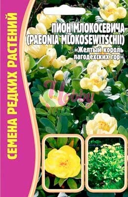 Цветы Пион Млокосевича (Paeonia mlokosewitshii) (3 шт) ЭКЗОТИКА