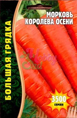 Морковь Королева Осени (3500 шт) ЭКЗОТИКА
