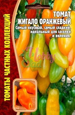 Томат Жигало Оранжевый (10 шт) ЭКЗОТИКА