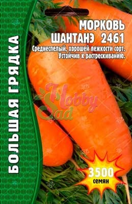 Морковь Шантане 2461  (5000 шт) ЭКЗОТИКА