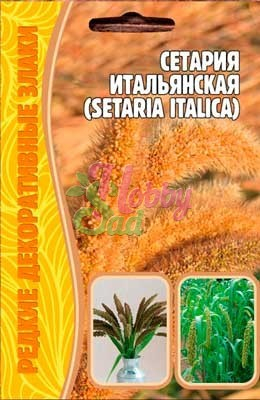 Цветы Сетария Итальянская (0,1 гр) ЭКЗОТИКА