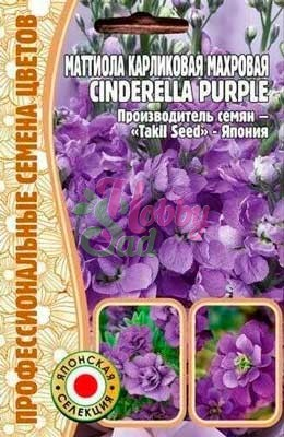Цветы Маттиола Циндерелла Парпл (Cinderella Purple) карликовая махровая (5 шт) ЭКЗОТИКА