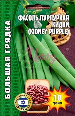 Фасоль Кидни пурпурная куст (10 гр) ЭКЗОТИКА