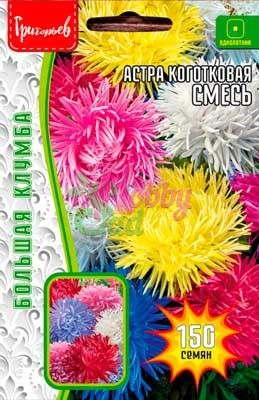 Цветы Астра Коготковая смесь (150 шт) ЭКЗОТИКА
