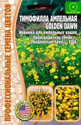 Цветы Тимофилла Голден Дав ампельная (Golden Dawn) (15 др) ЭКЗОТИКА