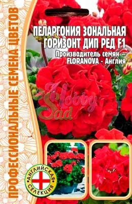 Цветы Пеларгония Горизонт Дип Ред F1 зональная (3 шт) ЭКЗОТИКА