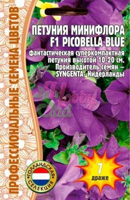 Цветы Петуния Пикобелла Блю Сангента (Picobella Blue SYNGENTA) минифлора (7 др) ЭКЗОТИКА