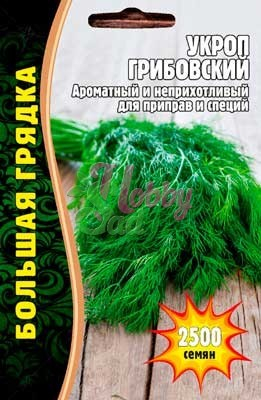 Укроп Грибовский (2500 шт) ЭКЗОТИКА