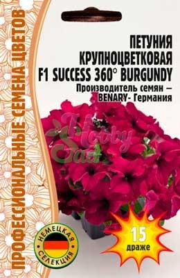 Цветы Петуния Саккесс 360 Бургунди F1 (SUCCESS 360° Burgundy) крупноцветковая (15 др) ЭКЗОТИКА