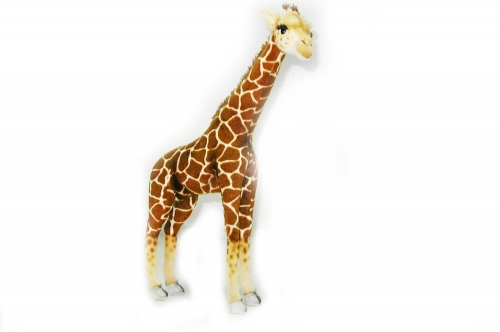3610 Жираф, 64 см