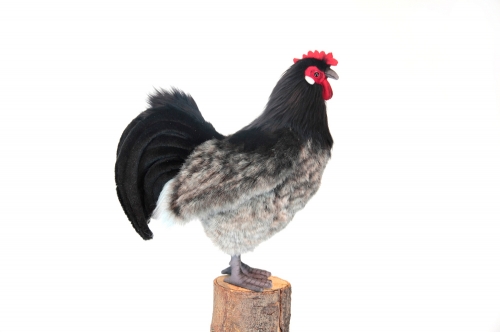 6037 Эльзасская курица, 34 см