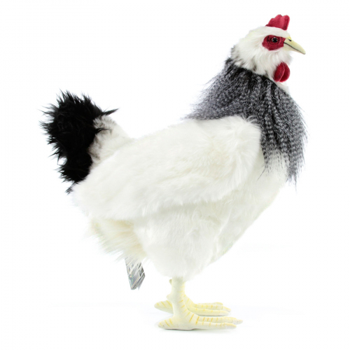 5034 Курица французской породы, 38 см