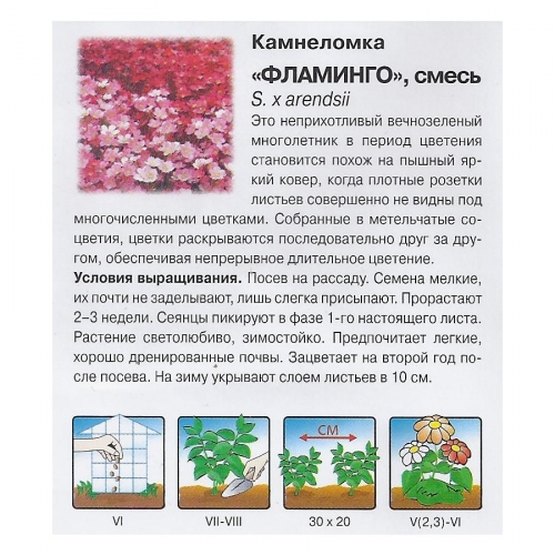 Камнеломка фламинго смесь. (200 шт.)