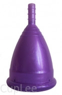 perl-violet