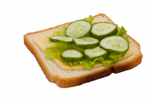 Форма-резак для бутербродов и выпечки «ДИНОЗАВРИКИ»