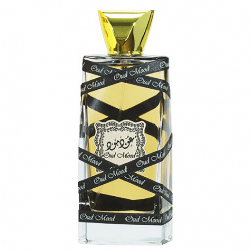 Fragrance World Parfum D'hommes Sport edp for man 100 ml