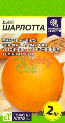 Дыня Шарлотта (0,5 гр) Семена Алтая