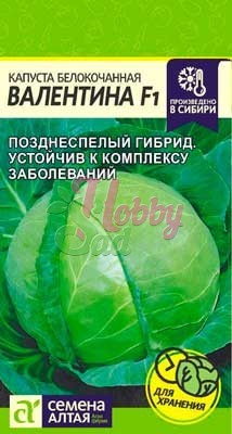 Капуста Валентина F1 б/к (0,1 гр) Семена Алтая