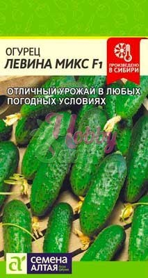 Огурец Левина Микс F1 (0,3 гр) Семена Алтая