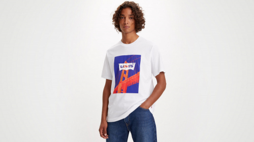 Футболка мужская Relaxed Fit Graphic Tee, LEVIS