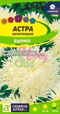 Цветы Астра Бирма коготковая (0,2 гр) Семена Алтая