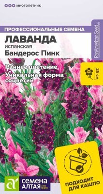 Цветы Лаванда Бандерос Пинк испанская (5 шт) Семена Алтая