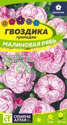 Цветы Гвоздика Малиновая рябь гренадин (0,2 г) Семена Алтая