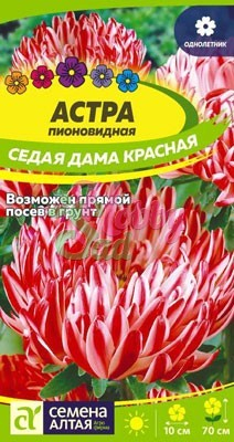 Цветы Астра Седая Дама Красная (0,1 гр) Семена Алтая