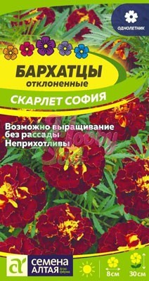 Цветы Бархатцы Скарлет София махровые (0,2 г) Семена Алтая