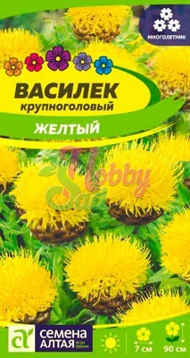 Цветы Василек Желтый крупноголовый (0,3 г) Семена Алтая