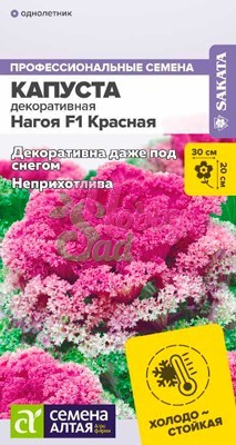 Цветы Капуста Нагойя Красная декоративная (10 шт) Семена Алтая