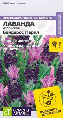 Цветы Лаванда Бандерос Парпл испанская (5 шт) Семена Алтая