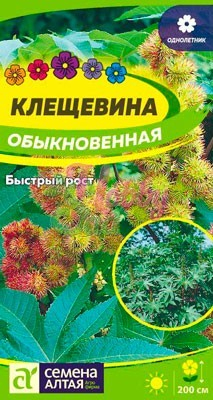 Цветы Клещевина Обыкновенная (3 шт) Семена Алтая