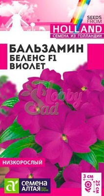 Цветы Бальзамин Беленс Виолет F1 (5 шт) Семена Алтая