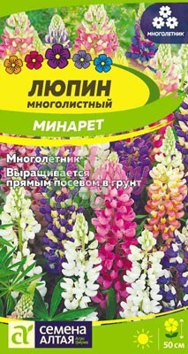 Цветы Люпин Минарет (0,3 г) Семена Алтая