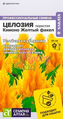 Цветы Целозия Кимоно Перистая Желтый Факел (10 шт) Семена Алтая