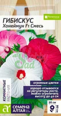 Цветы Гибискус Хонеймун Смесь (3 шт) Семена Алтая серия Комнатные растения