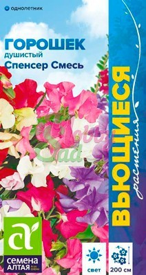 Цветы Душистый горошек Спенсер смесь (0,5 г) Семена Алтая серия Вьющиеся растения