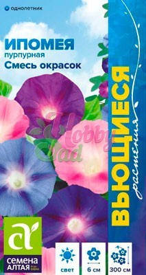 Цветы Ипомея Пурпурная смесь (0,5 г) Семена Алтая серия Вьющиеся растения