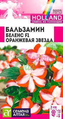 Цветы Бальзамин Беленс Оранжевая звезда F1 (5 шт) Семена Алтая
